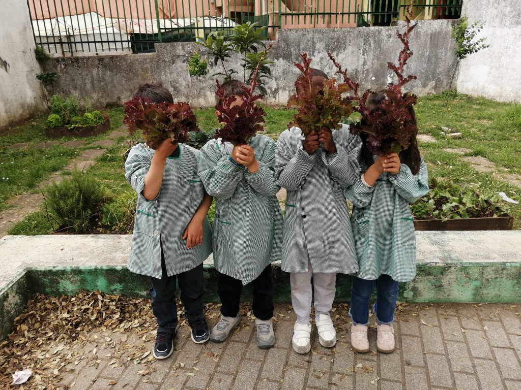 WhatsApp-Image-2026-04-26-at-15.43.09-1024x768 A aprender somos felizes (sala verde JI da Mina)