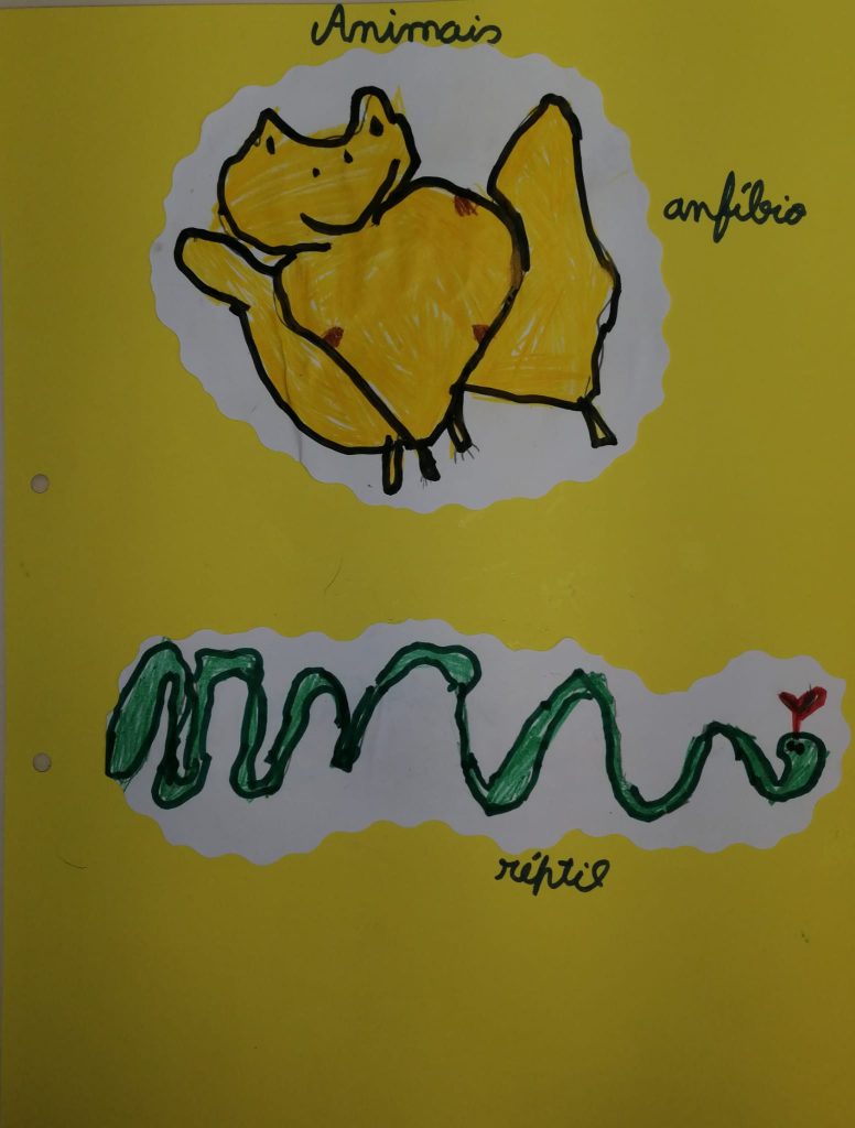 WhatsApp-Image-2026-05-17-at-16.07.43-776x1024 A aprender somos felizes (sala verde - EB1/JI da Mina)