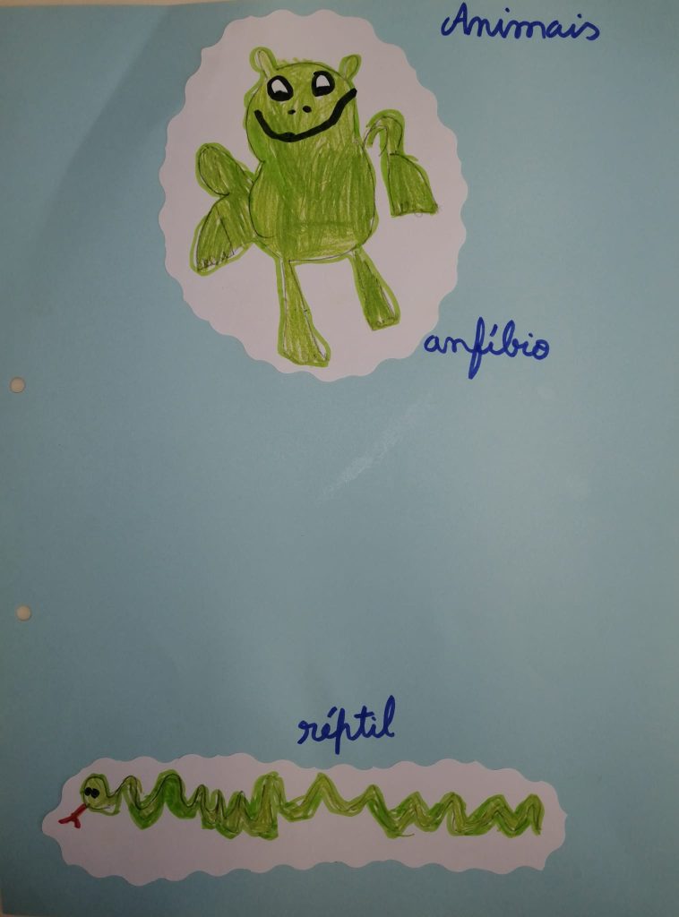 WhatsApp-Image-2026-05-17-at-16.07.45-3-758x1024 A aprender somos felizes (sala verde - EB1/JI da Mina)